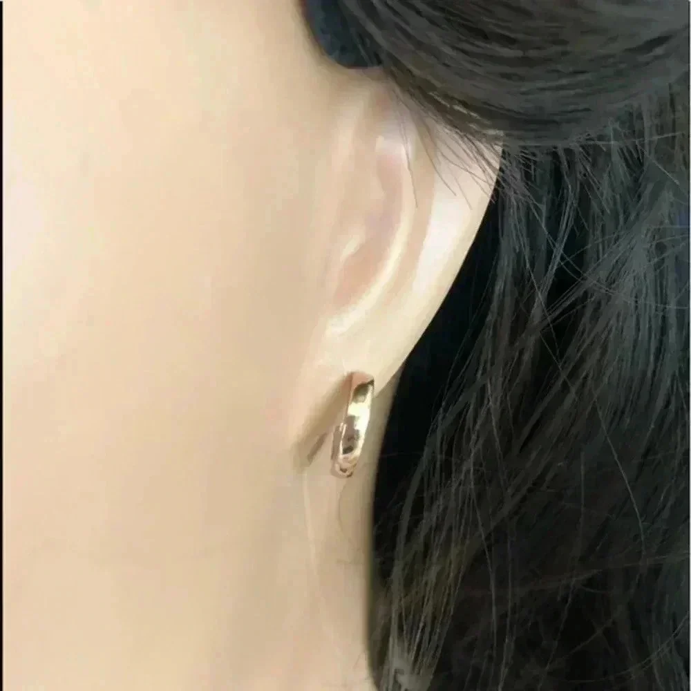 Rose Gold 2.8mm Stainless Steel Stud Hoop Earrings NWT